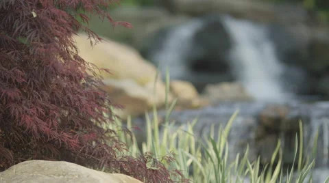 Red Bush Waterfall Video stock 49817312