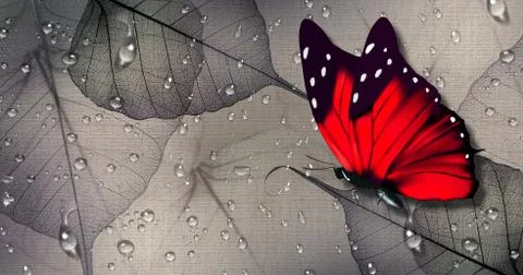Red butterfly on canvas Stock Illustration