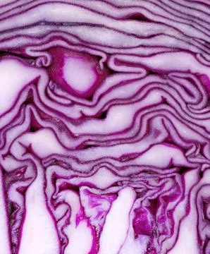 Red Cabbage background. Red cabbage pattern closeup. Stock Photos