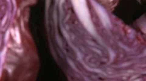 RED CABBAGE  BEING PREPARED  ON A KITCHEN WORKTOP Vidéo 59005677