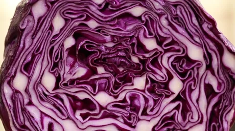 Red cabbage being sliced, Closeup Stock Footage 51409689