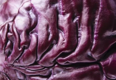 Red cabbage close-up Stock Photos