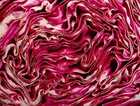 Red cabbage close-up. texture cut cabbage. Foto stock