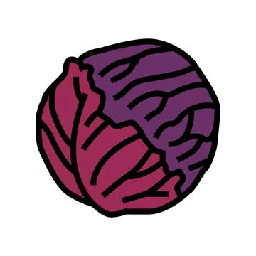 Red cabbage color icon vector illustration Stock Illustration