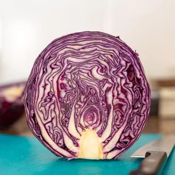 Red cabbage cross section Stock Photos