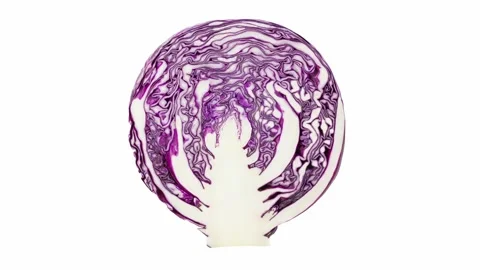 Red cabbage cut, entrails close-up Stock Footage 166859197