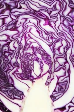 Red cabbage cut in half Stock Photos
