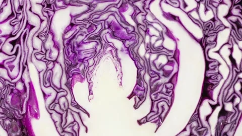 Red cabbage cut inside rotating Stock Footage 207800660