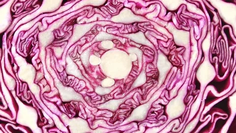 Red cabbage cut in middle rotating Stock-Footage 165729562