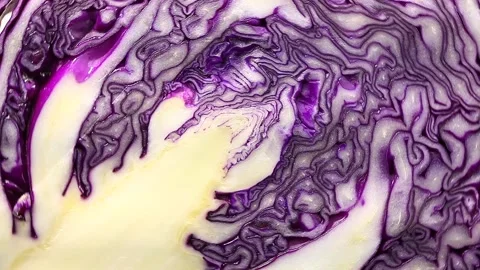 Red cabbage cut rotates Stock Footage 148040230