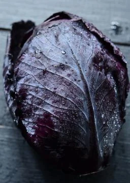 Red cabbage on dark background Stock Photos