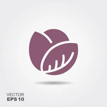 Red cabbage flat icon vector, colorful logo illustration isolated on white Stock Illustration