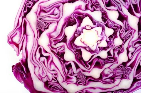 Red cabbage isolated on white Stock Photos