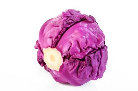 Red cabbage isolated on white Stock Photos