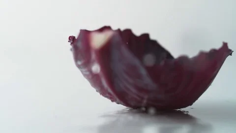 A red cabbage leaf falling on water surface. Slow Motion. Stock Footage 79478982