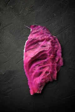 Red cabbage leaf Foto stock