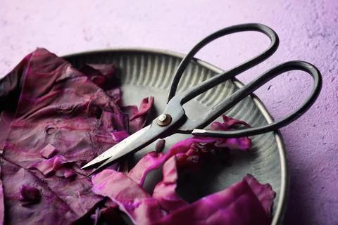 Red cabbage leaves Stock Photos