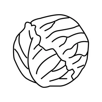 Red cabbage line icon vector illustration Illustrazione stock