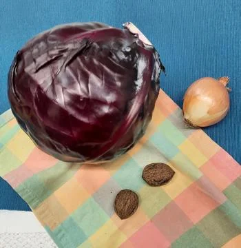 Red cabbage, onion and walnuts on colorful kitchen cloth Stock Photos
