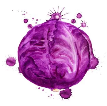 Red cabbage with paint blots Stock Illustration