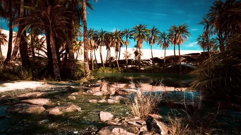 Red cabbage palm and rugged sandstone cliffs reflected on water Stock Illustration