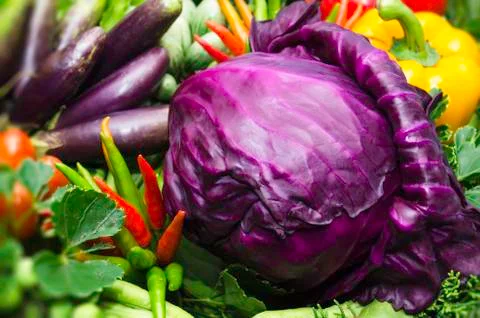 Red cabbage Stock Photos