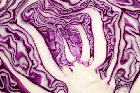Red cabbage Stock Photos