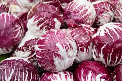 Red cabbage Stock Photos