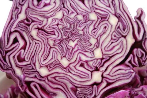 Red cabbage Stock Photos