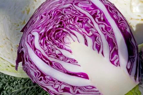 Red cabbage Stock Photos