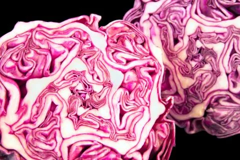Red cabbage Stock Photos