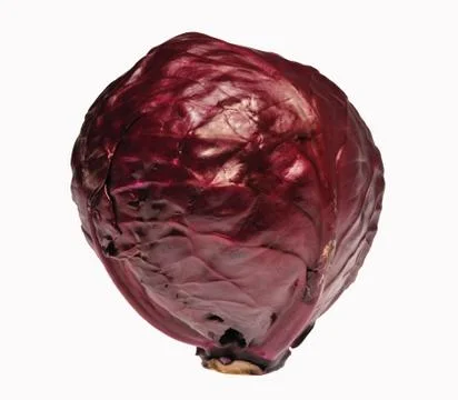 Red cabbage Stock Photos