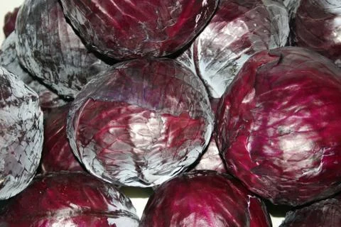 Red Cabbage Stock Photos