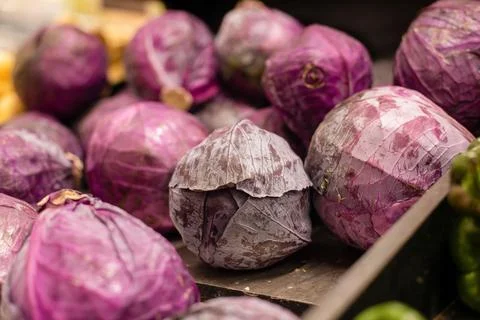 Red cabbage Stock Photos