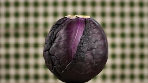 Red cabbage rotates on a checkered background Stock Footage 273834706