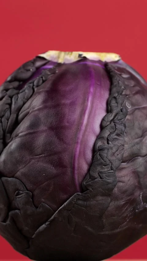 Red cabbage rotates on a red background Stock Footage 308046574