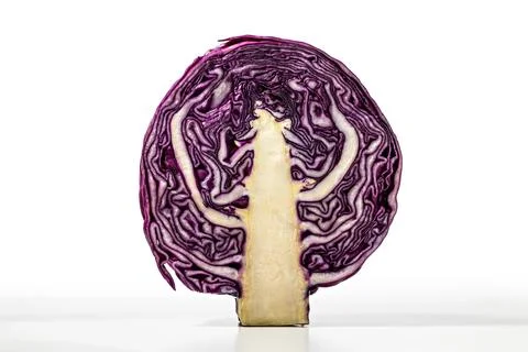 Red Cabbage Slice on White Background for Organic Food Design and Health Co.. Stock Photos