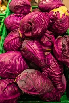Red cabbage in a store Stock Photos