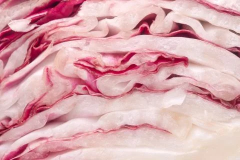 Red cabbage texture Stock Photos