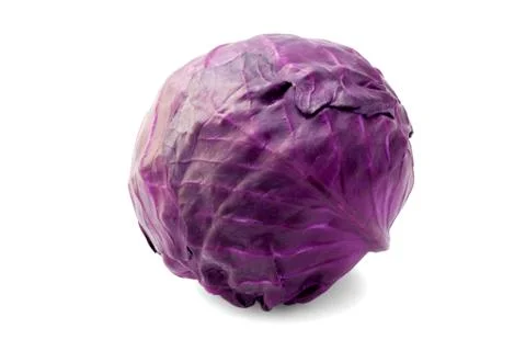 Red cabbage violet cabbage Stock Photos