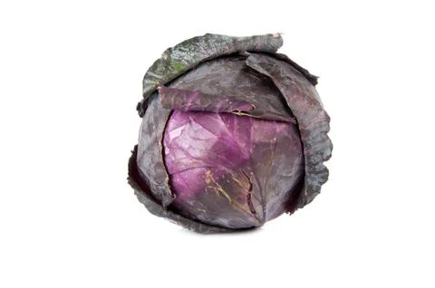 Red cabbage on a white background Stock Photos