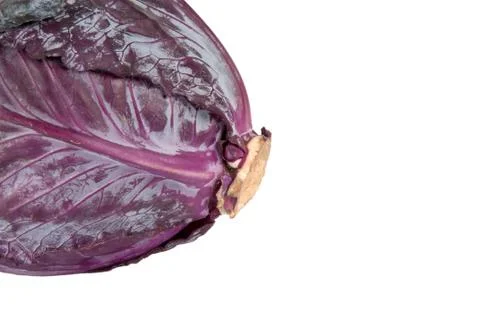 Red cabbage on a white background Stock Photos