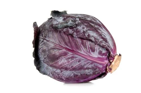 Red cabbage on a white background Foto stock