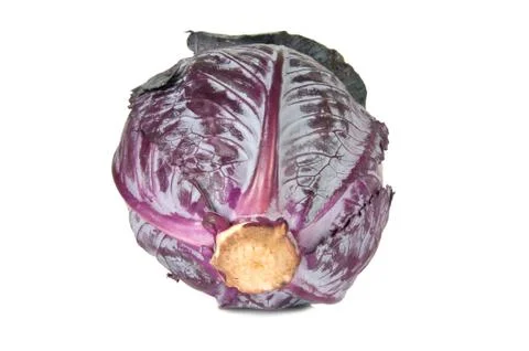 Red cabbage on a white background Stock Photos