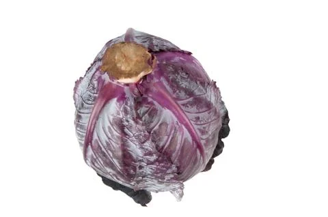 Red cabbage on a white background Stock Photos
