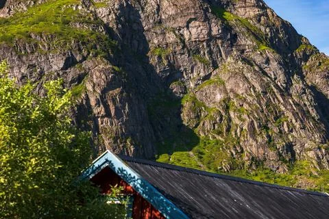 Red cabin with dramatic moss-covered cliff in Lofoten Norway 写真素材