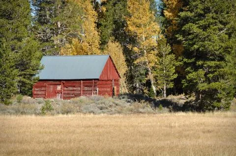 Red cabin in the fall Stock-Fotos