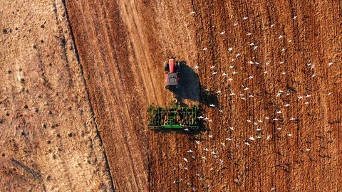 Red cabin tractor plowing the field with green plough, aerial view. Stock Footage 107100087