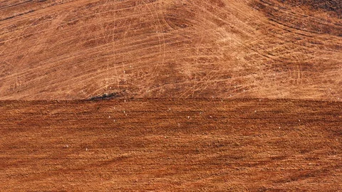 Red cabin tractor plowing the field with green plough, aerial view. Stock Footage 107100486