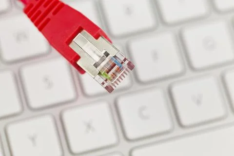 The red cable of a network from a computer. Austria Stock Photos